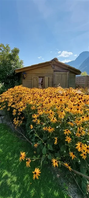 8.5 Zimmer Villa in Port-Valais – Foto 17 von 20