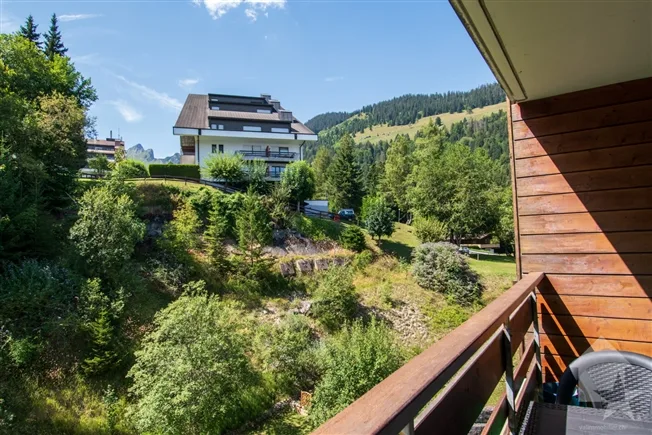 2.5 Zimmer Wohnung in Torgon – foto 6 di 19