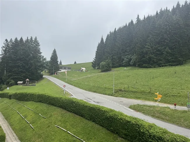 1.5 Zimmer Wohnung in Torgon – Foto 4 von 11