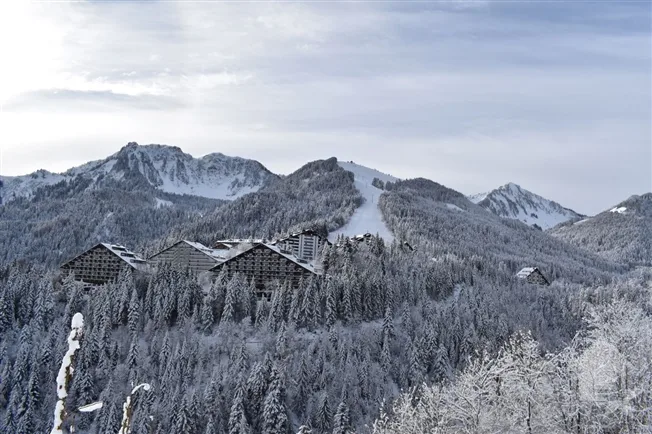 2.5 Zimmer möbl. Wohnobjekt in Torgon – foto 16 di 17