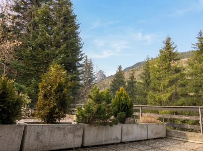 2.5 Zimmer Wohnung in Torgon – Foto 6 von 8