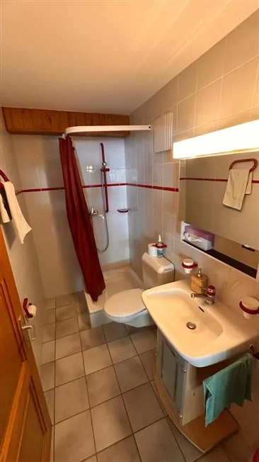 2.5 Zimmer möbl. Wohnobjekt in Ovronnaz – foto 9 di 9