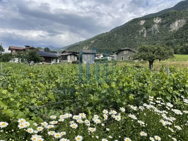 4.5 Zimmer Villa in Sion – Foto 6 von 12