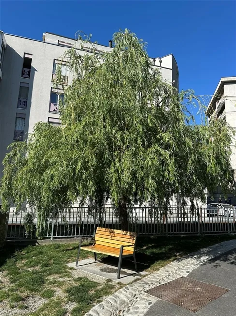 4.5 Zimmer Wohnung in Sion – Foto 17 von 19