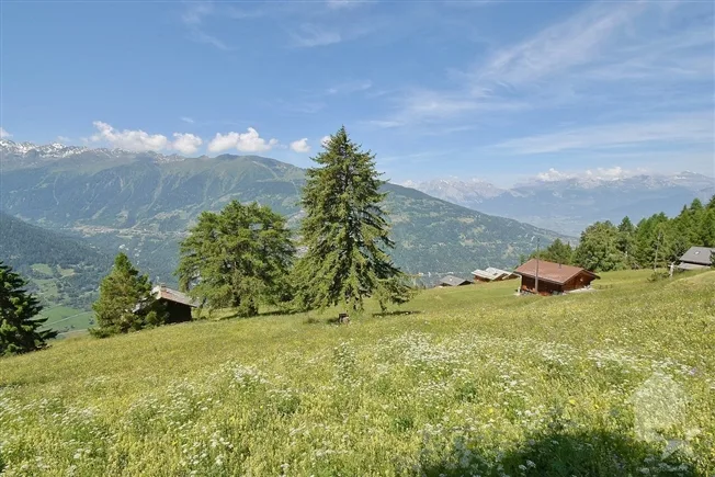 3.5 Zimmer Chalet in St-Martin VS – foto 9 di 18
