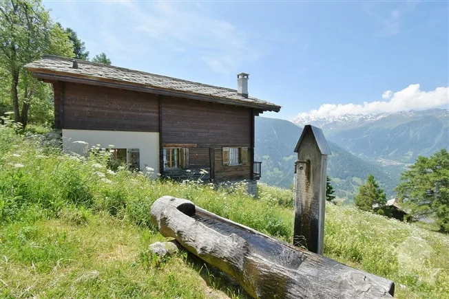3.5 Zimmer Chalet in St-Martin VS – foto 2 di 18