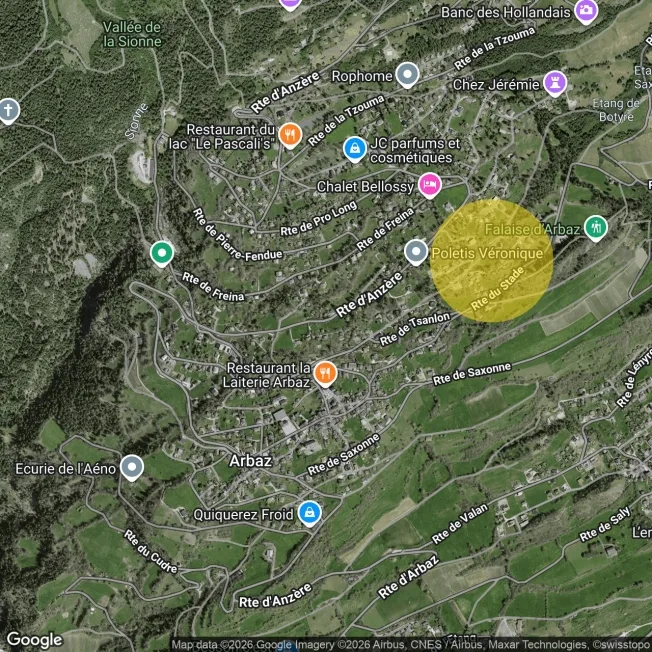 3.5 Zimmer Chalet in Arbaz – foto 9 di 9