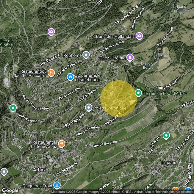 5.5 Zimmer Chalet in Arbaz – photo 18 sur 18