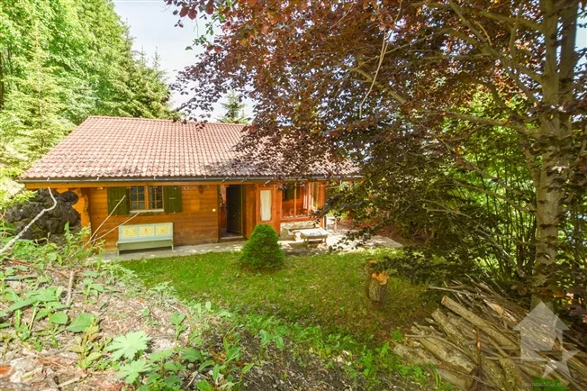 4 Zimmer Chalet in Les Collons – foto 20 di 20