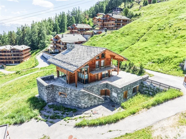 7.5 Zimmer Chalet, 1993 Veysonnaz