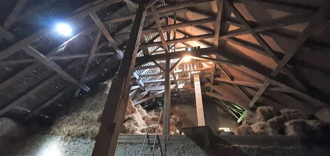 Bauernhaus in Gorgier – Foto 7 von 8