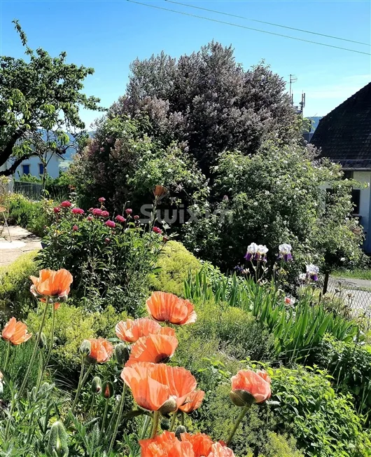 6.5 Zimmer Einfamilienhaus in Les Hauts-Geneveys – Foto 6 von 7