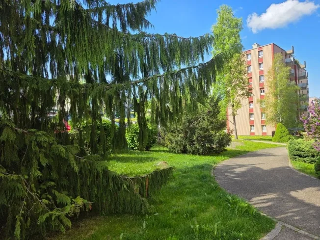 5.5 Zimmer Wohnung in La Chaux-de-Fonds – foto 10 di 11