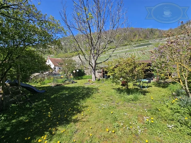 Einfamilienhaus in Twann – foto 2 di 13