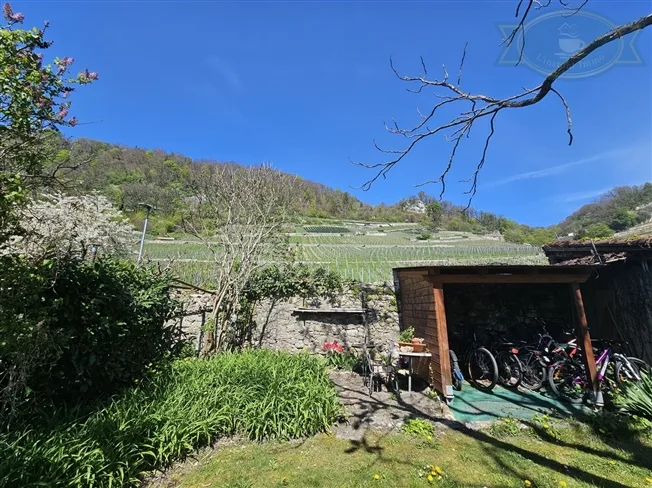 Einfamilienhaus in Twann – foto 3 di 13