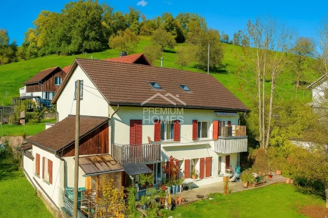 14.5 Zimmer Einfamilienhaus, 2545 Selzach