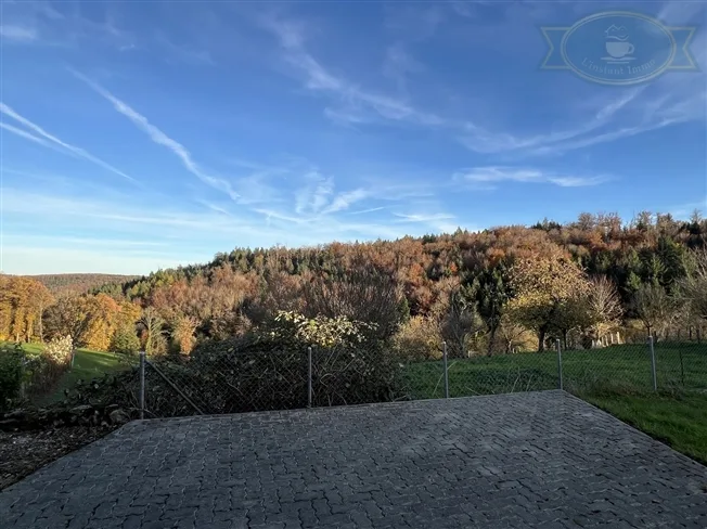 4.5 Zimmer Einfamilienhaus in Courchavon – foto 3 di 10