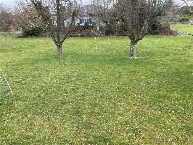 4.5 Zimmer Einfamilienhaus in Coeuve – foto 12 di 12