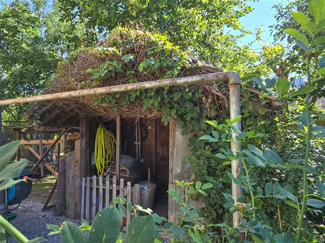 12 Zimmer Einfamilienhaus in Frutigen – Foto 3 von 18