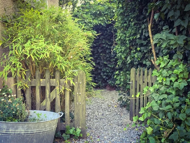 12 Zimmer Einfamilienhaus in Frutigen – Foto 9 von 18