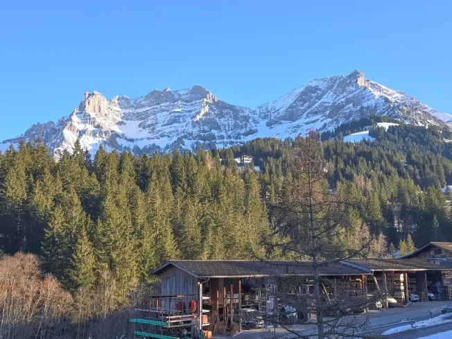 4.5 Zimmer Wohnung in Adelboden – Foto 18 von 20