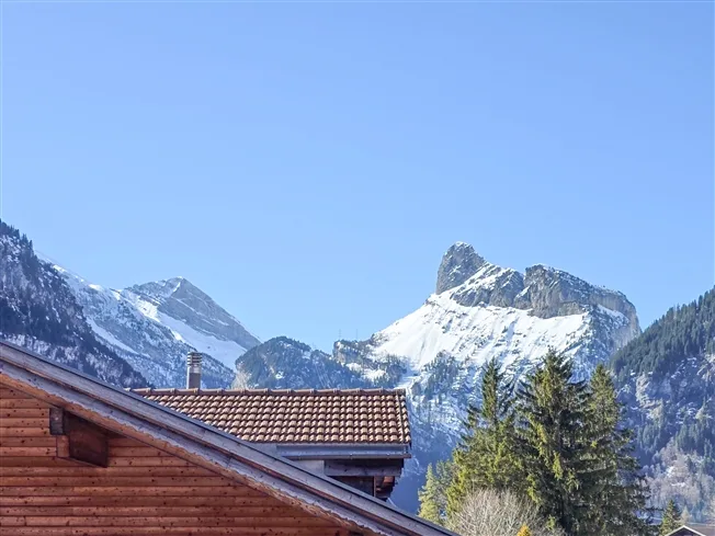 3.5 Zimmer Wohnung in Kandersteg – Foto 20 von 20