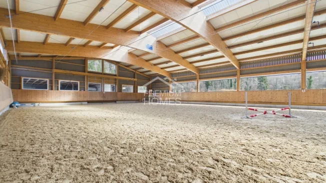 Wohnung, 3800 Interlaken