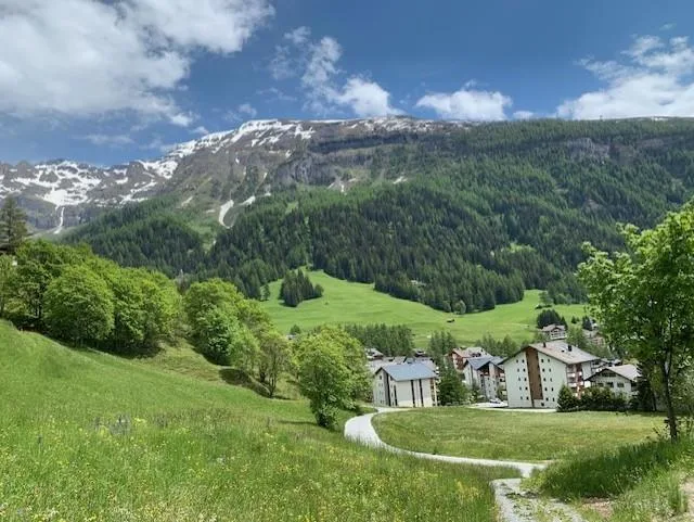 3 Zimmer möbl. Wohnobjekt in Leukerbad – Foto 9 von 10