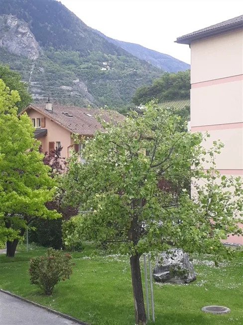 3.5 Zimmer Wohnung in Sierre – Foto 11 von 11