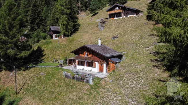 4.5 Zimmer Chalet in Grimentz – foto 15 di 15