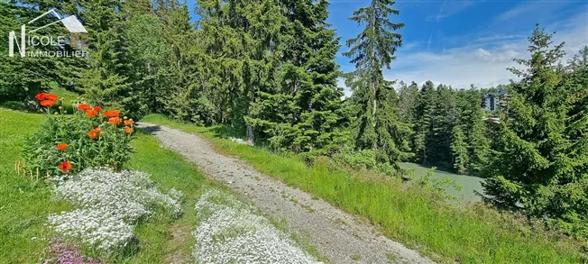 1 Zimmer Wohnung in Crans-Montana – Foto 13 von 15