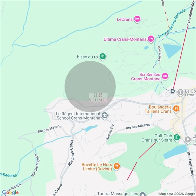 1 Zimmer Wohnung in Crans-Montana – photo 4 sur 4