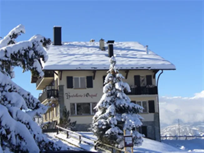 Wohnung in Vercorin – photo 2 of 13