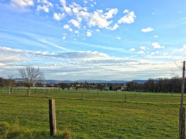7 Zimmer Villa in Binningen – Foto 2 von 5