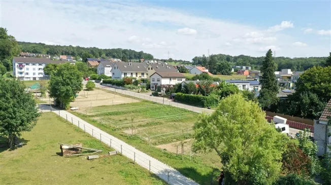 4.5 Zimmer Wohnung in Biel-Benken BL – Foto 8 von 8