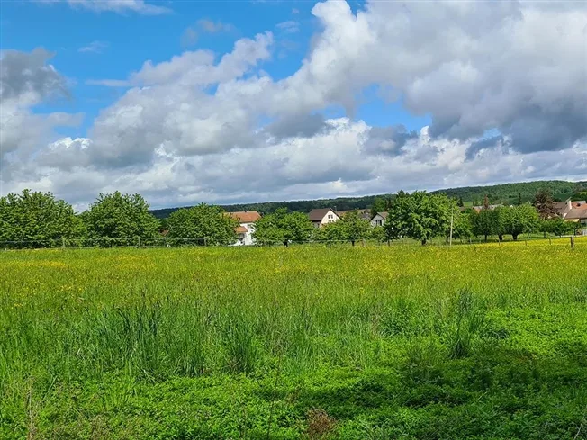 6 Zimmer Villa in Witterswil – Foto 3 von 3