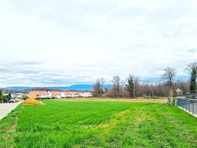 5 Zimmer Einfamilienhaus in Allschwil – photo 3 sur 3