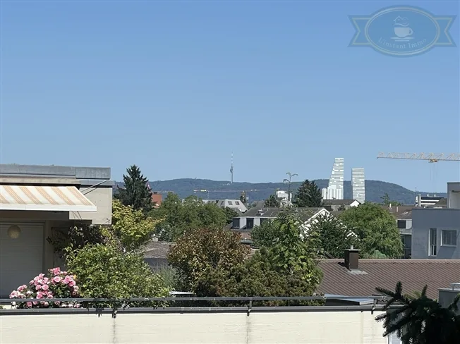 5.5 Zimmer Attikawohnung in Allschwil – photo 11 of 13