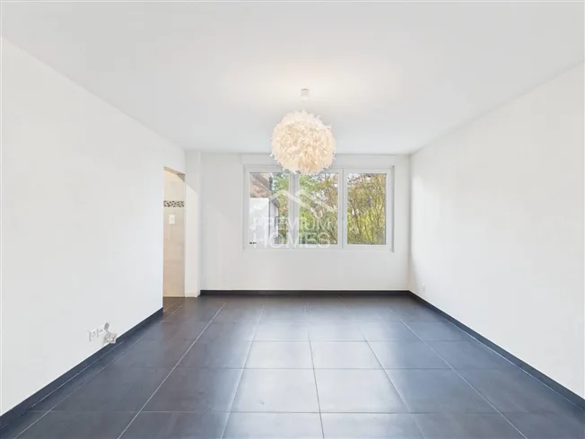 6.5 Zimmer Einfamilienhaus in Allschwil – foto 7 di 10