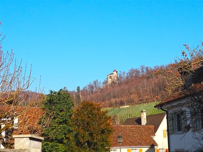 8 Zimmer Villa in Arlesheim – foto 4 di 4