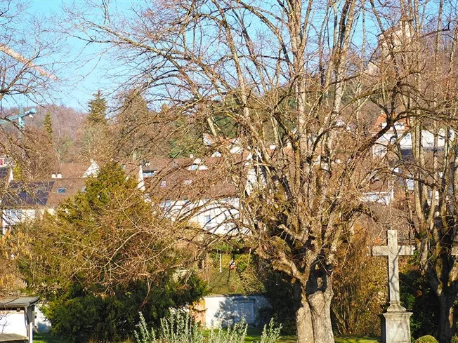 8 Zimmer Villa in Arlesheim – foto 2 di 4