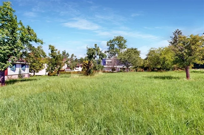 Einfamilienhaus in Kaiseraugst – Foto 3 von 11