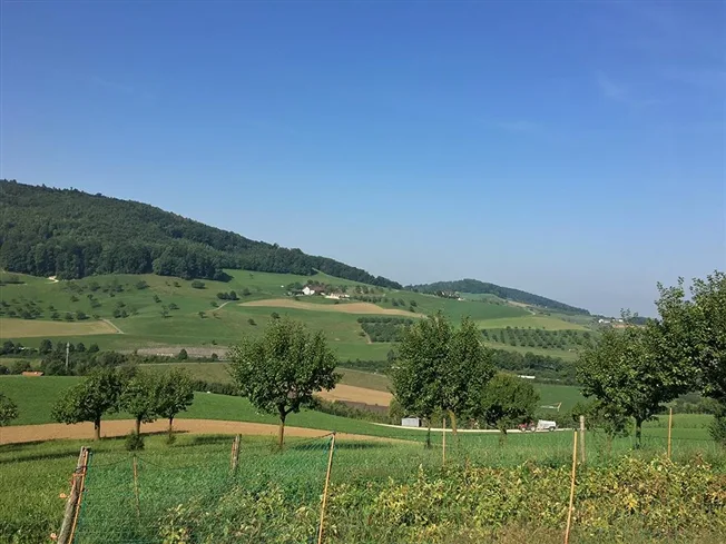 5 Zimmer Einfamilienhaus in Arisdorf – foto 2 di 4