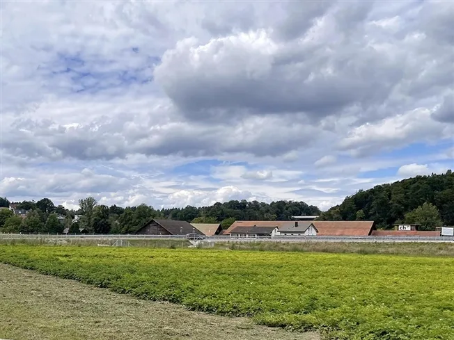 7 Zimmer Villa in Mellingen – Foto 2 von 3