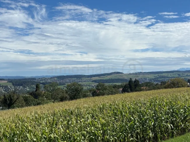 5.5 Zimmer Einfamilienhaus, 5724 Dürrenäsch