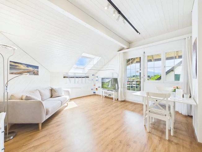 6.5 Zimmer Einfamilienhaus in Emmenbrücke – foto 12 di 13
