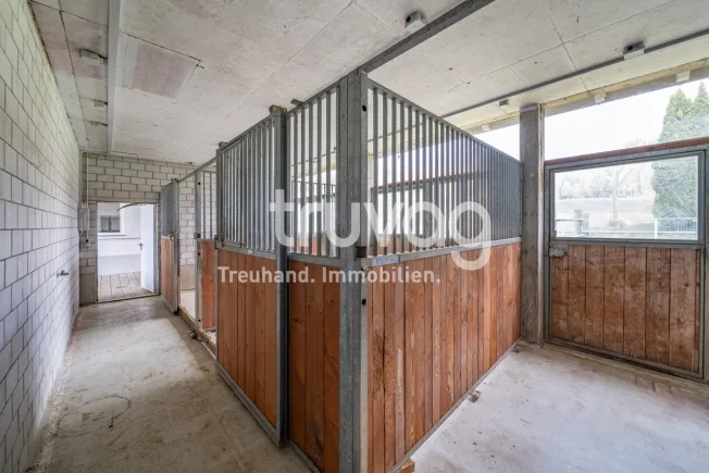 Einfamilienhaus in Altbüron – foto 6 di 8