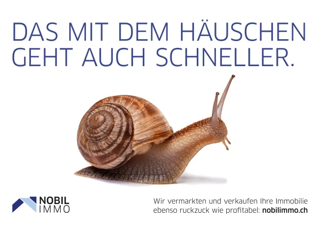 2.5 Zimmer Etagenwohnung, 6390 Engelberg