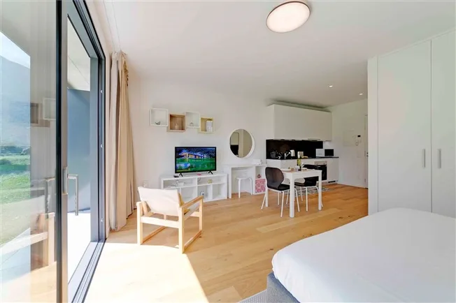 1 Zimmer Wohnung in Bellinzona – foto 7 di 20