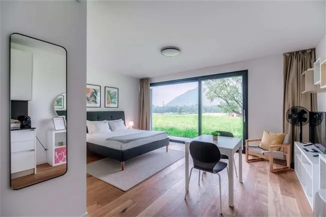 1 Zimmer Wohnung in Bellinzona – foto 2 di 20